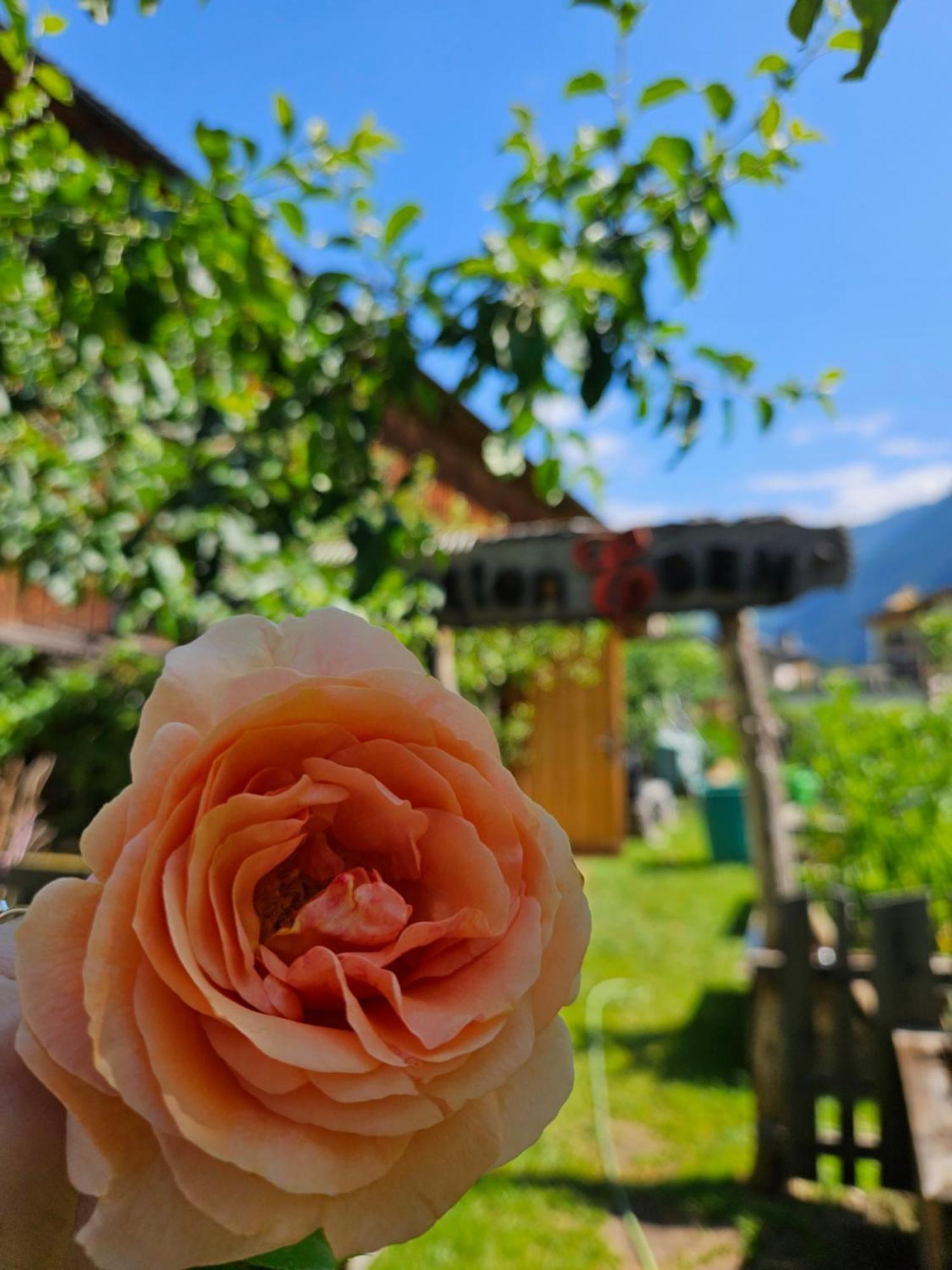 Hotel Edenlehen Mayrhofen Extérieur photo